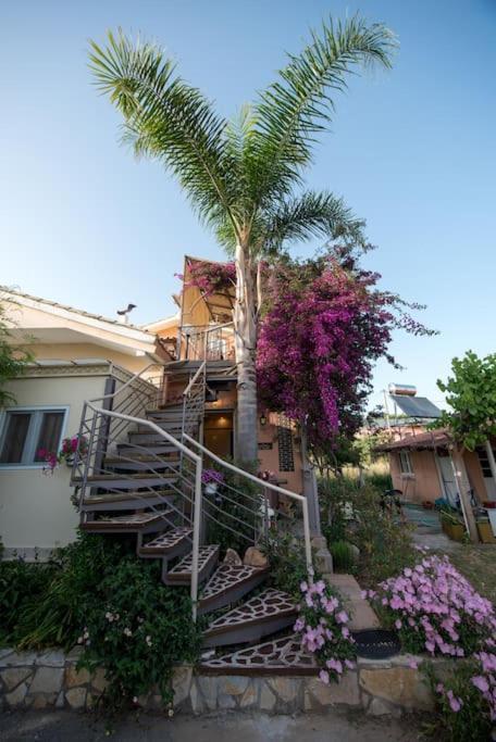 Bougainvillea House 1 Каламата Екстериор снимка