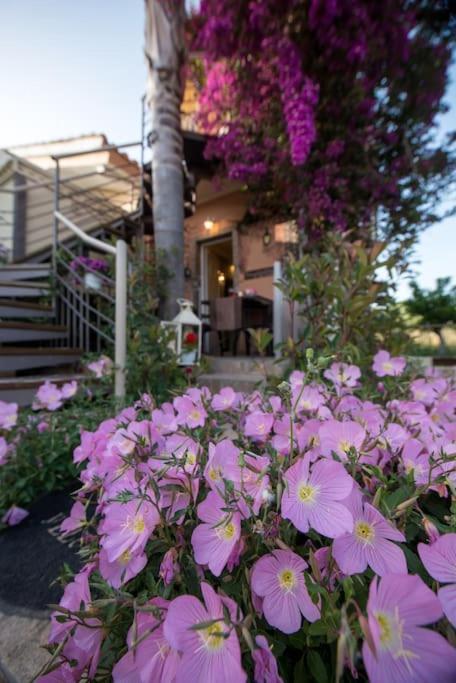 Bougainvillea House 1 Каламата Екстериор снимка